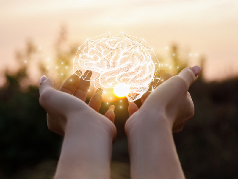 Life Extension, Image of a light brain held in female hands with nature background